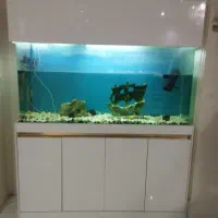اکواریوم شیشه خم کارخانه ای