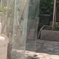 کبابی...استند سبخ