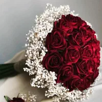 تشریفات مجالس عروسی نور