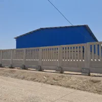 مشارکت-در-برنجکوبی