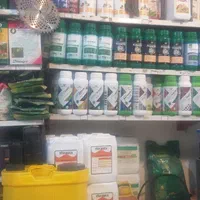 نیروی کار جوان فروشگاه کشاورزی