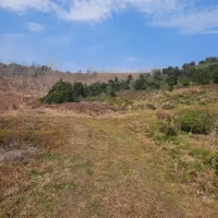 ۵ هکتار زمین باغی با درختان مرکبات اطاقور|فروش زمین و ملک کلنگی|اطاقور, |دیوار