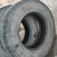 لاستیک|قطعات یدکی و لوازم جانبی|میان جلگه, |دیوار