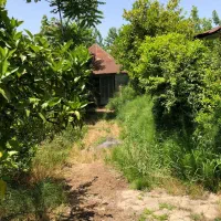 فروش خانه ویلایی|فروش خانه و ویلا|تولم شهر, |دیوار