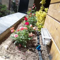 انجام انواع خدمات باغبانی و فضای سبز