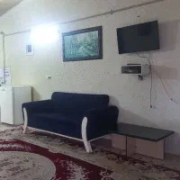 سوئیت-شبی-500