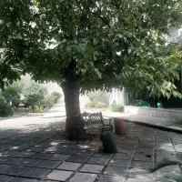 دزاشیب-105-متر-موقعیت-اداری