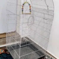 قفس