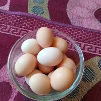تخم مرغ روستایی