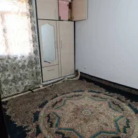 قالی ۱۲ متری