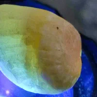 سنگ جواهری یاقوت راف . جواهرات