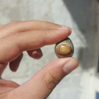 خاتم سلطانی