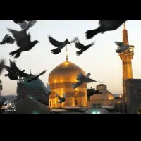 ٪٪  سفر بـی دغــدغه به مشهد،