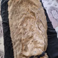 یک عدد هیزه گوسفندی|ظروف نگهدارنده، پلاستیکی، یک‌بارمصرف|خرم‌آباد, |دیوار