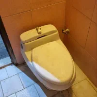 توالت فرنگی