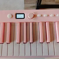 پیانو تاشو BX|پیانو، کیبورد، آکاردئون|رشت, لاکان|دیوار