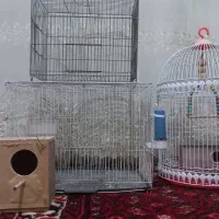 قفس پرنده