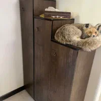 جا کفشی سه قلو تر و تمیز