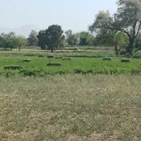 پرس یونجه خشک