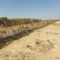 زمین زراعی|فروش دفتر صنعتی، کشاورزی، تجاری|رباطکریم, رباطکریم|دیوار