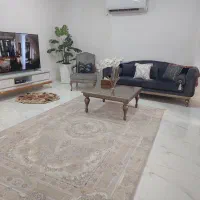 دو عدد فرش ۶متری نو نو فقط ۴ ماه استقاده شده|فرش|دزفول, |دیوار