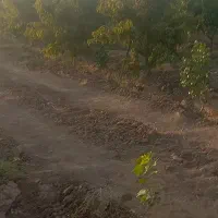 جویای کار نگهبانی،سرایداری،باغبانی