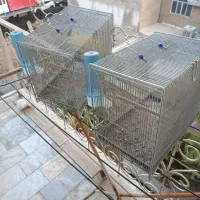 قفس سهره