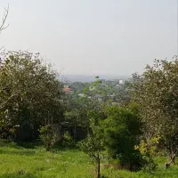 زمین باغ ویودار بزچفت بابلکنار|فروش زمین و ملک کلنگی|بابل, |دیوار