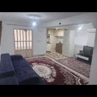 سوییت در طبیعت جنگلی دلند سفیدچشمه