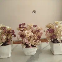 گل رو میزی و دسته گل