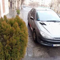 206sd اریان موتور tu5|خودرو سواری و وانت|کرج, ساماندهی|دیوار