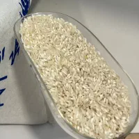 برنج اقتصادی معطر شمال
