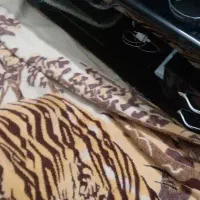 سلام تعدادی وسیله خانه