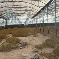 سازه گلخانه دست دوم در حد نو|ماشینآلات صنعتی|رباطکریم, الارد|دیوار
