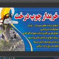 خرید انواع چوب وهرس کاری