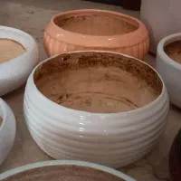 فروش گلدان گل|گل و گیاه طبیعی|تهران, شمس‌آباد|دیوار