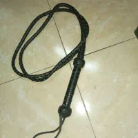 شلاق اسب سواری