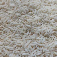 برنج علی کاظمی