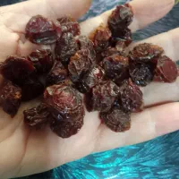 آلوچه خشک محلی ملس