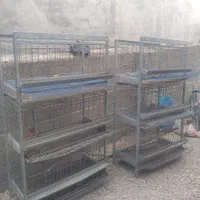 دو قفسه مرغ زینتی