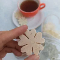 قندونبات گیاهی رژیمی