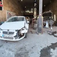 صافکار ونقاش ماهر