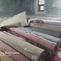 موکت فروشی|موکت|زابل, |دیوار