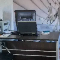 استخدام حسابدار خانم