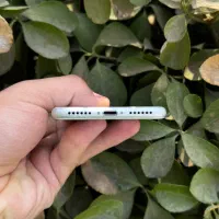 iPhone 7 ایفون|موبایل|تهران, ارم|دیوار