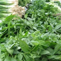 همکار برای پاک‌کردن سبزی نیازمندیم