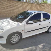 206 sd