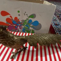 پرنده قدیمی