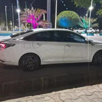 دانگ فنگ شاین مکس
