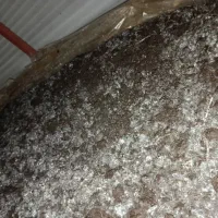 کمپوست قارچ دکمه ای|خدمات باغبانی و درختکاری|شیراز, اصلاح‌نژاد|دیوار